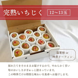 いちじく 【ファームさとう】 贈答用 品種おまかせ 12～13個 1㎏ 千葉県香取市 《8/上旬～8/下旬より出荷》