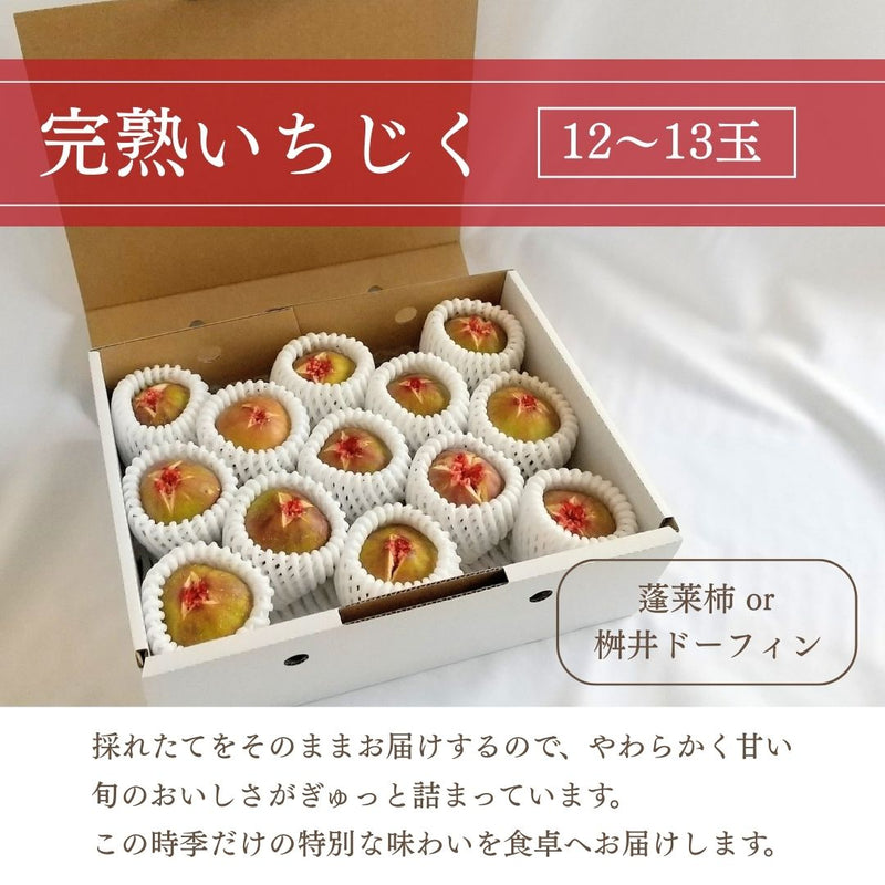 いちじく 【ファームさとう】 贈答用 品種おまかせ 12～13個 1㎏ 千葉県香取市 《8/上旬～8/下旬より出荷》