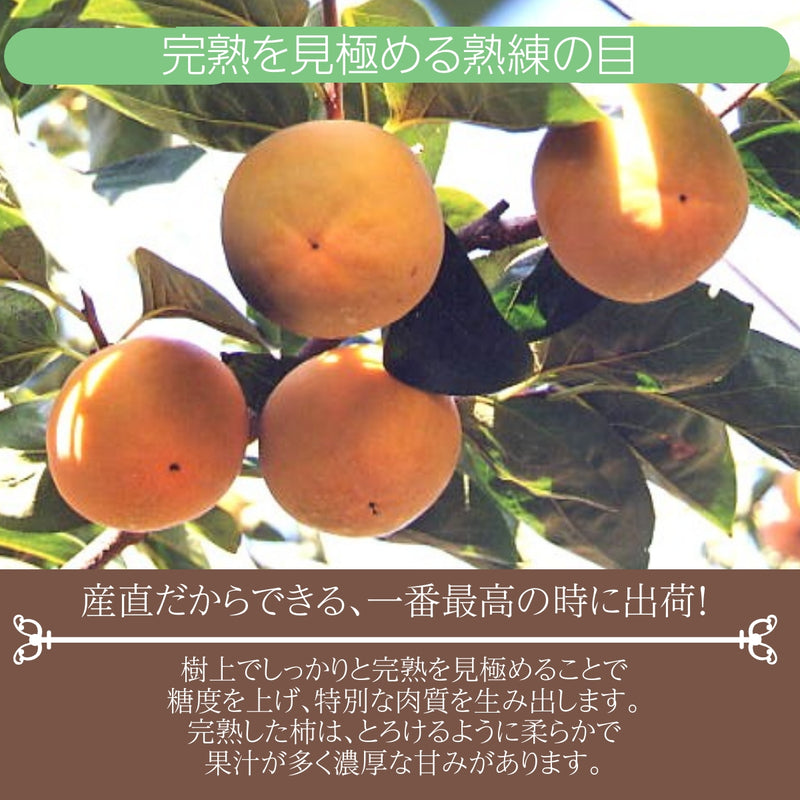柿 甘柿 【フルーツファームいしくら】 富有柿等 皇室献上の味 広瀬の柿 7.5kg L 32個 山梨県笛吹市 種なし かき《10/下旬～11/上旬の出荷》