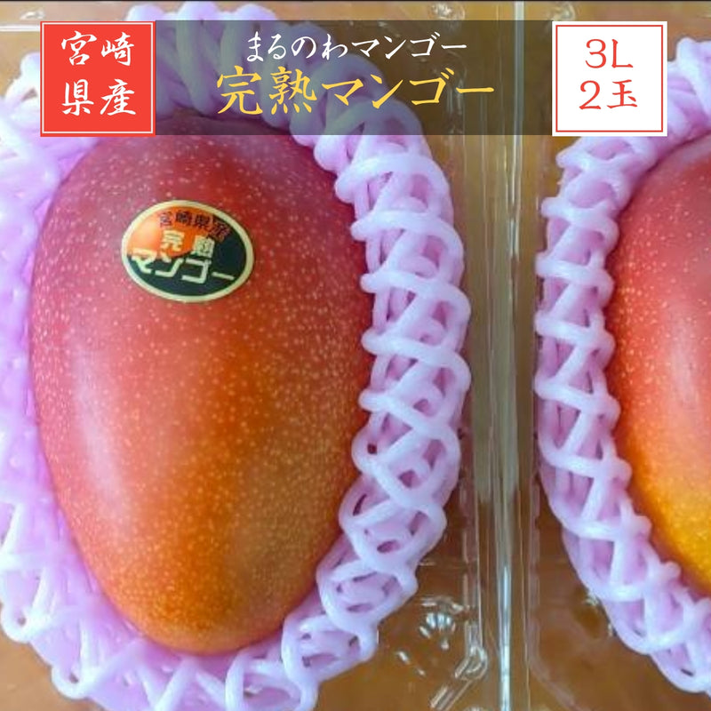 マンゴー 【まるのわマンゴー】 完熟マンゴー 3L 2個 宮崎県宮崎市 《5/上～5/中の出荷》