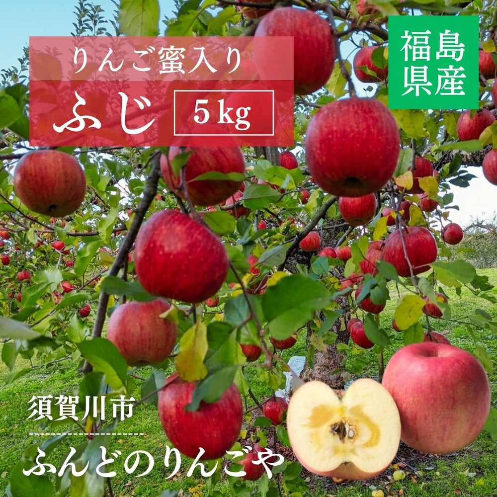 りんご 【ふんどのりんごや】 ふじ 5kg 16～18個 福島県須賀川 《1