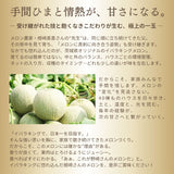 メロン 【メロン農家の根崎】 イバラキング 2玉 3.2kg 贈答用 2024年 イバラキング品評会1位 茨城県鉾田市 《6/上旬～6/中旬より出荷》