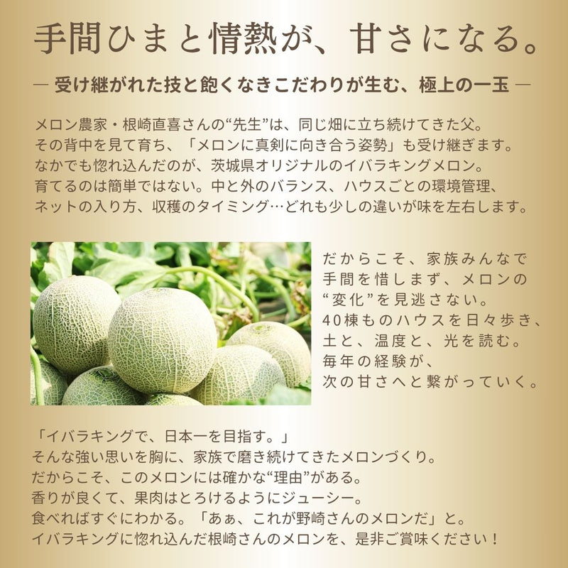 メロン 【メロン農家の根崎】 イバラキング 2玉 3.2kg 贈答用 2024年 イバラキング品評会1位 茨城県鉾田市 《6/上旬～6/中旬より出荷》