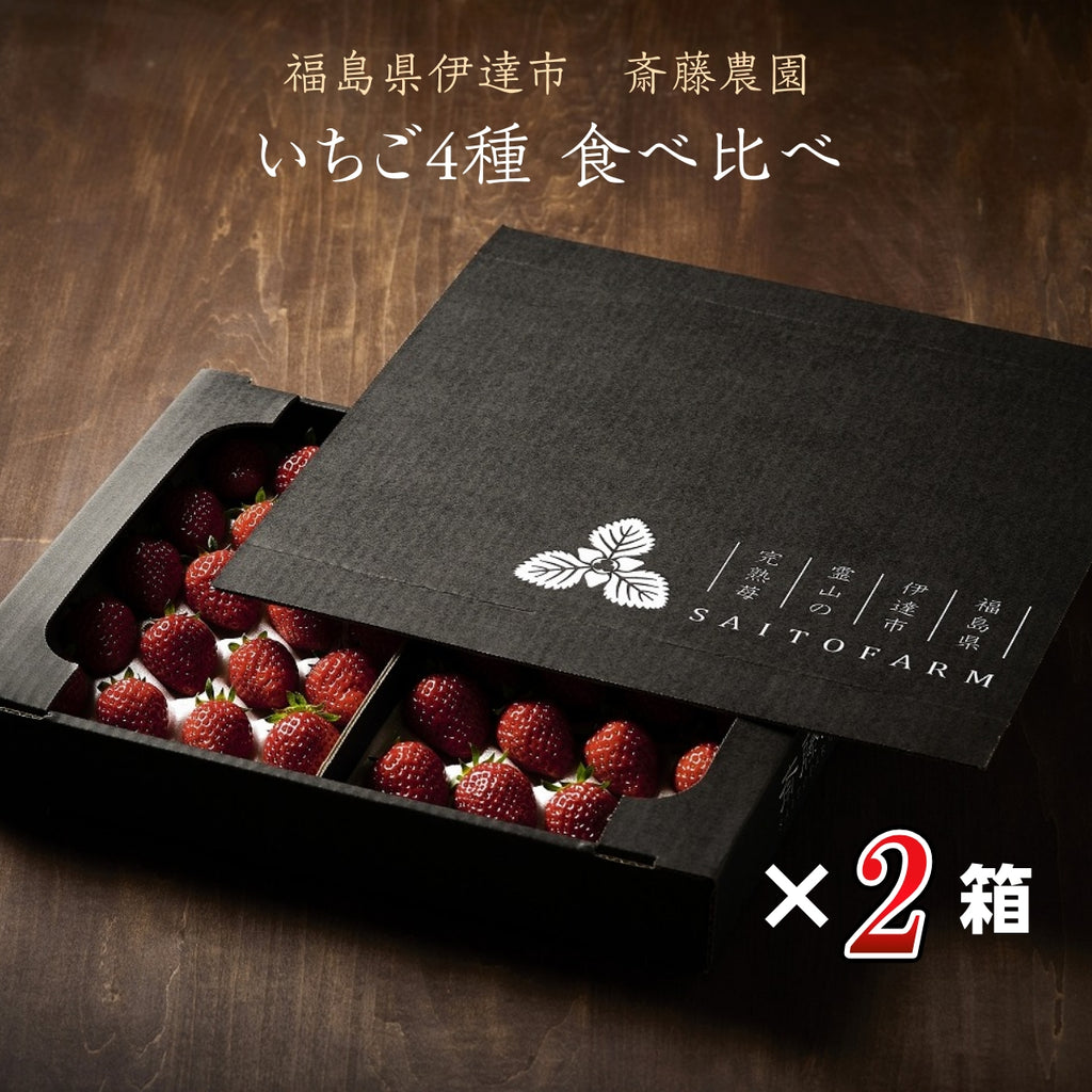 いちご 【斎藤農園】4種 食べ比べ (15～20粒 300g)×4P 母の日 福島県