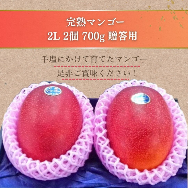マンゴー 【緒方果樹園】 完熟マンゴー 2L 2個 700g 贈答用 宮崎県宮崎市 《5/上～5/中より出荷》