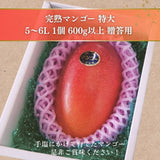 マンゴー 【緒方果樹園】 完熟マンゴー 特大 5～6L 1個 600g以上 贈答用 宮崎県宮崎市 《6/上～6/下の出荷》