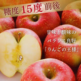 りんご 【ふんどのりんごや】 ふじ 5kg  16～18個 福島県須賀川 《1/上旬～1/下旬の出荷》
