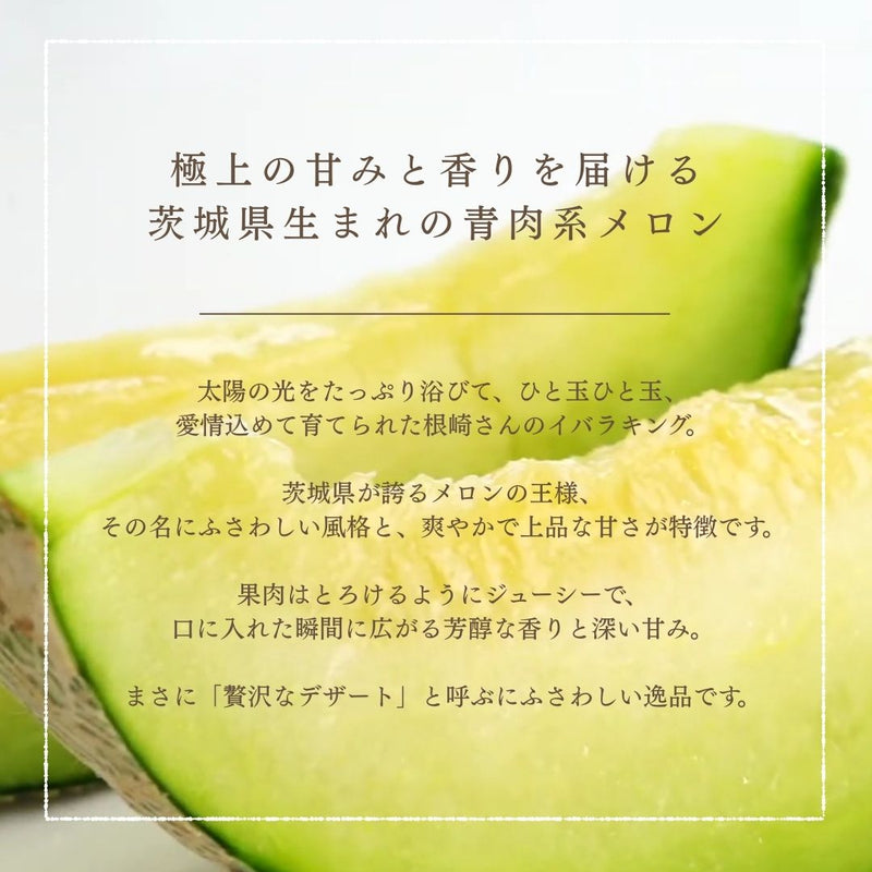 メロン 【メロン農家の根崎】 イバラキング 2玉 3.2kg 贈答用 2024年 イバラキング品評会1位 茨城県鉾田市 《6/上旬～6/中旬より出荷》