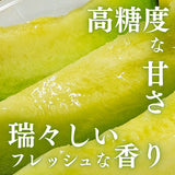 メロン 【メロン農家の根崎】 イバラキング 2玉 3kg 家庭用 2024年 イバラキング品評会1位 茨城県鉾田市 《6/上旬～6/中旬より出荷》