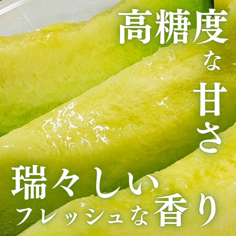 メロン 【メロン農家の根崎】 イバラキング 2玉 3kg 家庭用 2024年 イバラキング品評会1位 茨城県鉾田市 《6/上旬～6/中旬より出荷》