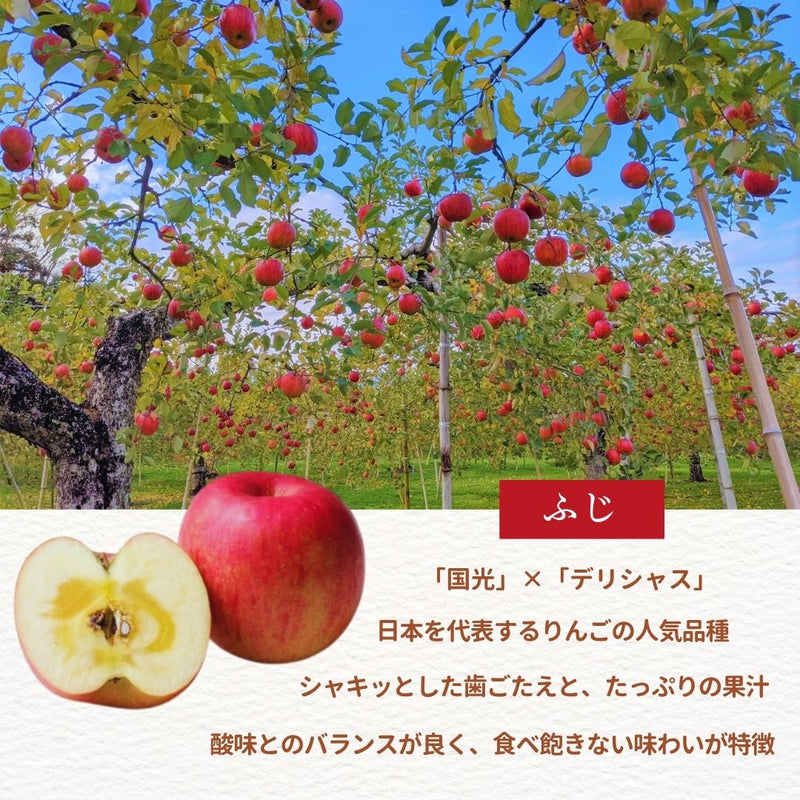 りんご 【ふんどのりんごや】 ふじ 5kg  16～18個 福島県須賀川 《1/上旬～1/下旬の出荷》