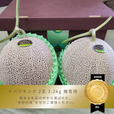 メロン 【メロン農家の根崎】 イバラキング 2玉 3.2kg 贈答用 2024年 イバラキング品評会1位 茨城県鉾田市 《6/上旬～6/中旬より出荷》