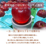 りんご 【ふんどのりんごや】 ふじ 5kg  16～18個 福島県須賀川 《1/上旬～1/下旬の出荷》