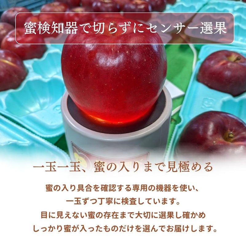 りんご 【ふんどのりんごや】 ふじ 5kg  16～18個 福島県須賀川 《1/上旬～1/下旬の出荷》