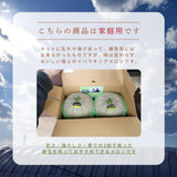 メロン 【メロン農家の根崎】 イバラキング 2玉 3kg 家庭用 2024年 イバラキング品評会1位 茨城県鉾田市 《6/上旬～6/中旬より出荷》
