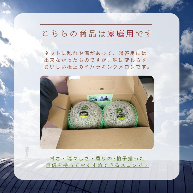 メロン 【メロン農家の根崎】 イバラキング 2玉 3kg 家庭用 2024年 イバラキング品評会1位 茨城県鉾田市 《6/上旬～6/中旬より出荷》
