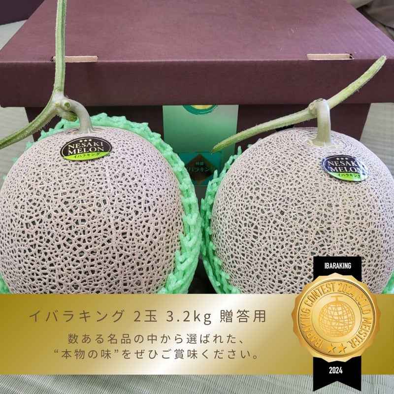 メロン 【メロン農家の根崎】 イバラキング 2玉 3.2kg 贈答用 2024年 イバラキング品評会1位 茨城県鉾田市 《6/上旬～6/中旬より出荷》