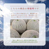 メロン 【メロン農家の根崎】 イバラキング 2玉 3kg 家庭用 2024年 イバラキング品評会1位 茨城県鉾田市 《6/上旬～6/中旬より出荷》