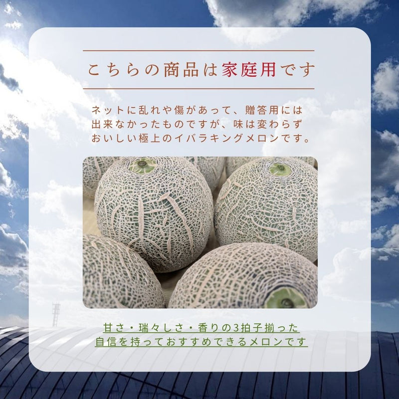 メロン 【メロン農家の根崎】 イバラキング 2玉 3kg 家庭用 2024年 イバラキング品評会1位 茨城県鉾田市 《6/上旬～6/中旬より出荷》