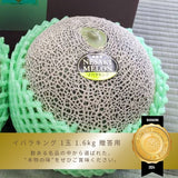 メロン 【メロン農家の根崎】 イバラキング 1玉 1.6kg 贈答用  2024年 イバラキング品評会1位 茨城県鉾田市 《6/上旬～6/中旬より出荷》