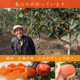 柿 甘柿 【フルーツファームいしくら】 富有柿等 皇室献上の味 広瀬の柿 4kg 2L 15個 山梨県笛吹市 種なし かき《10/下旬～11/上旬の出荷》