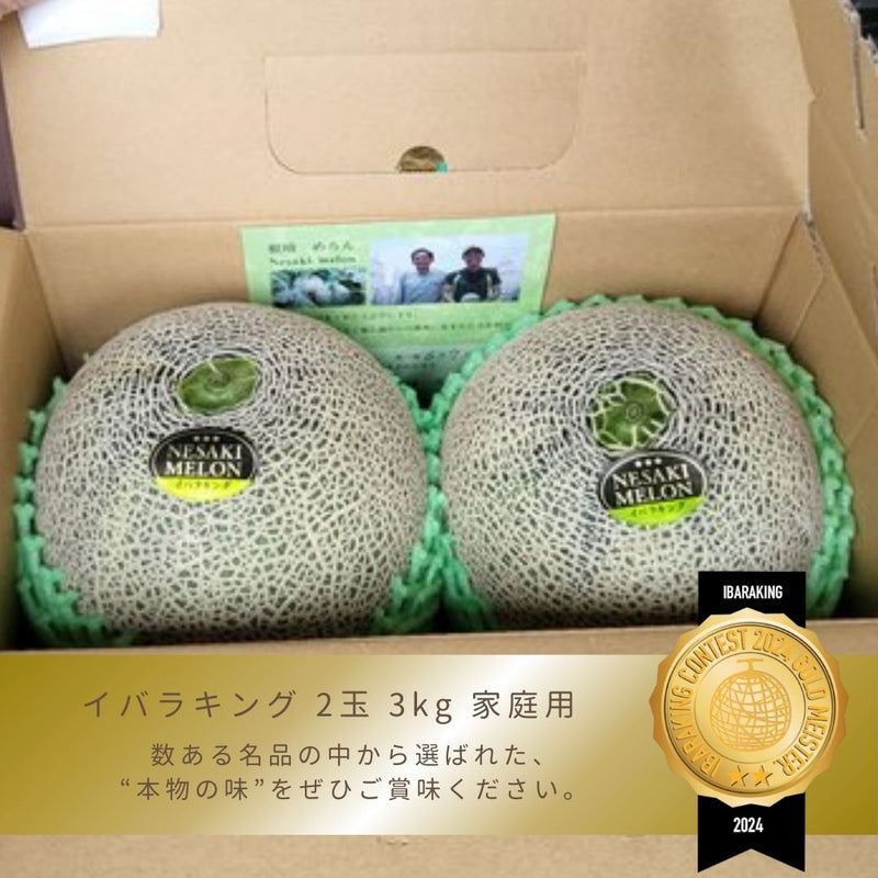 メロン 【メロン農家の根崎】 イバラキング 2玉 3kg 家庭用 2024年 イバラキング品評会1位 茨城県鉾田市 《6/上旬～6/中旬より出荷》