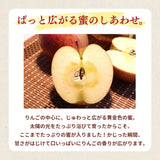 りんご 【ふんどのりんごや】 ふじ 5kg  16～18個 福島県須賀川 《1/上旬～1/下旬の出荷》