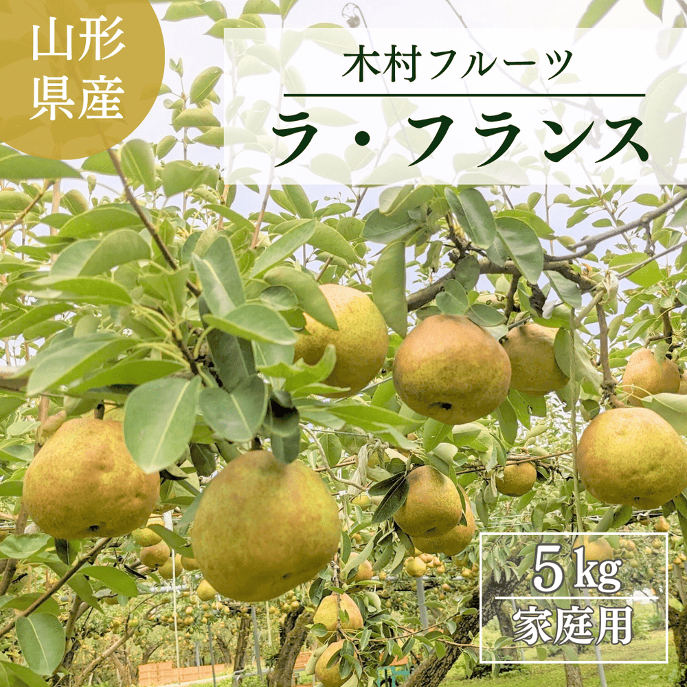 スミヤ果樹園】洋なし 洋梨 ラ・フランス 約3kg 2L～4L 8～9玉 贈答
