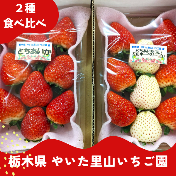 1_0_80cd7e01-3caa-4bb3-b5f2-