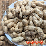 ピーナッツ 落花生 【まめひろ】 殻付き落花生 千葉半立 400g×1 ポスト投函 八街産 千葉県八街市