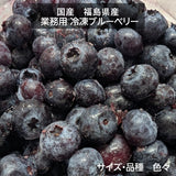 国産 冷凍ブルーベリー 加工用 業務用 農薬不使用 14.4kg 福島県 冷凍 フルーツ 果物 ブルーベリー