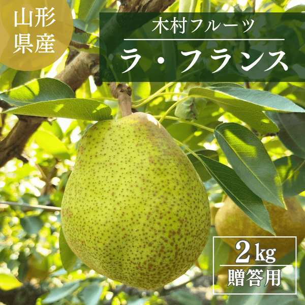 洋梨 【木村フルーツ】 洋なし ラ・フランス 約2kg ２L～5L 5～8玉 山形県上山市 ラフランス 《11/中旬～11/下旬より出荷》