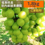 ぶどう 【箭内厳雄果樹園】 シャインマスカット 約1.8kg 2～３房 家庭用 訳あり 福島県 《10/上旬より出荷開始》