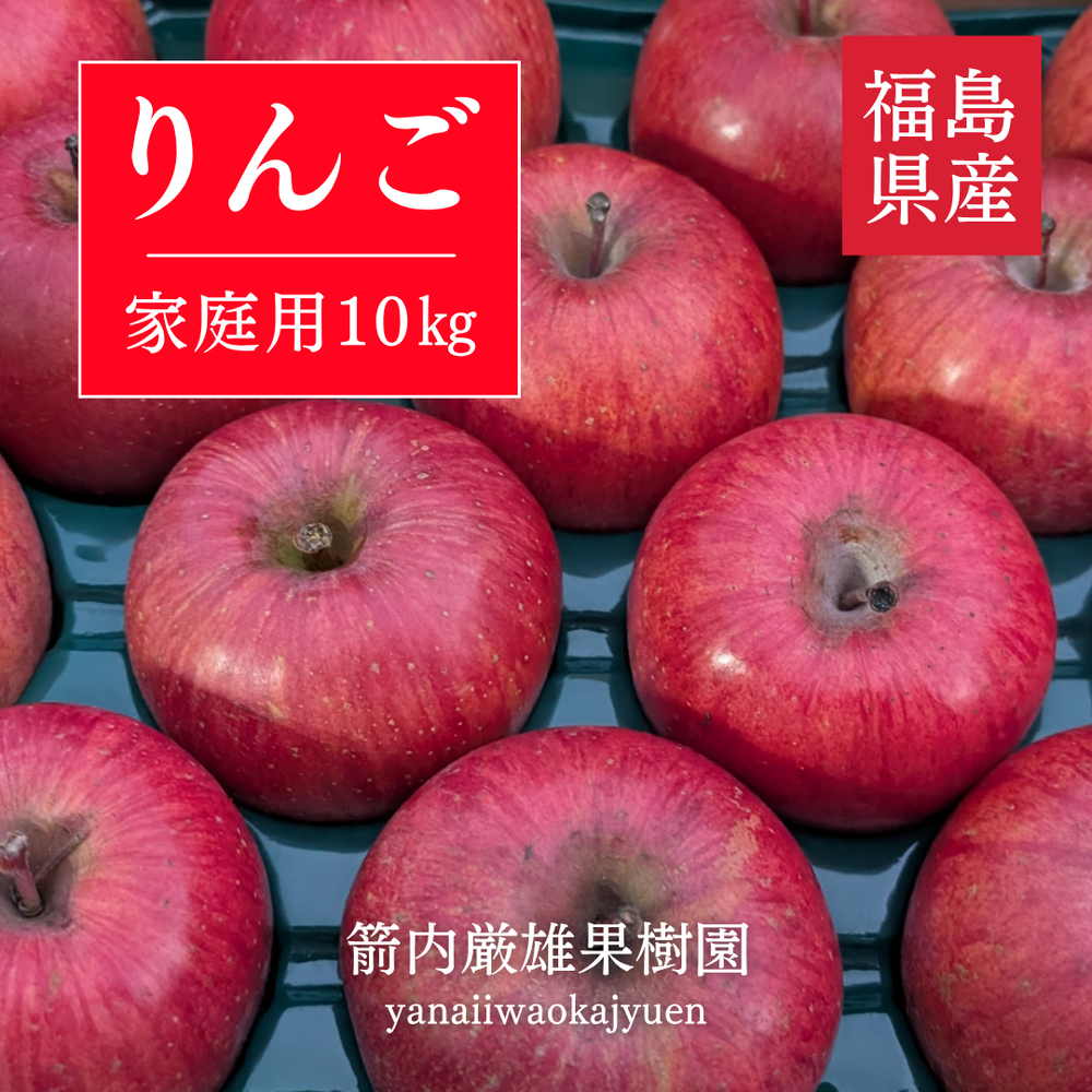 りんご 【ひかりグループ】 小玉リンゴ 毎日ちびリンゴ ミニ