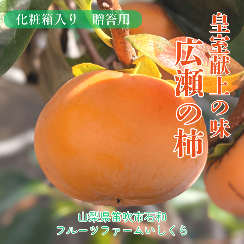 柿 甘柿 【フルーツファームいしくら】 富有柿等 皇室献上の味 広瀬の柿 化粧箱約3kg  L 11～12個 特秀 贈答用 プレゼント 山梨県笛吹市 種なし かき《10/下旬～11/上旬の出荷》
