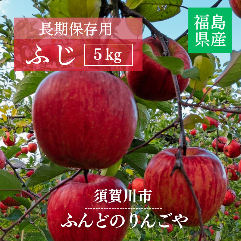 りんご 【ふんどのりんごや】 ふじ  蜜無し 長期保存用 5kg  16～18個 福島県須賀川《2/上旬～2/中旬より出荷》