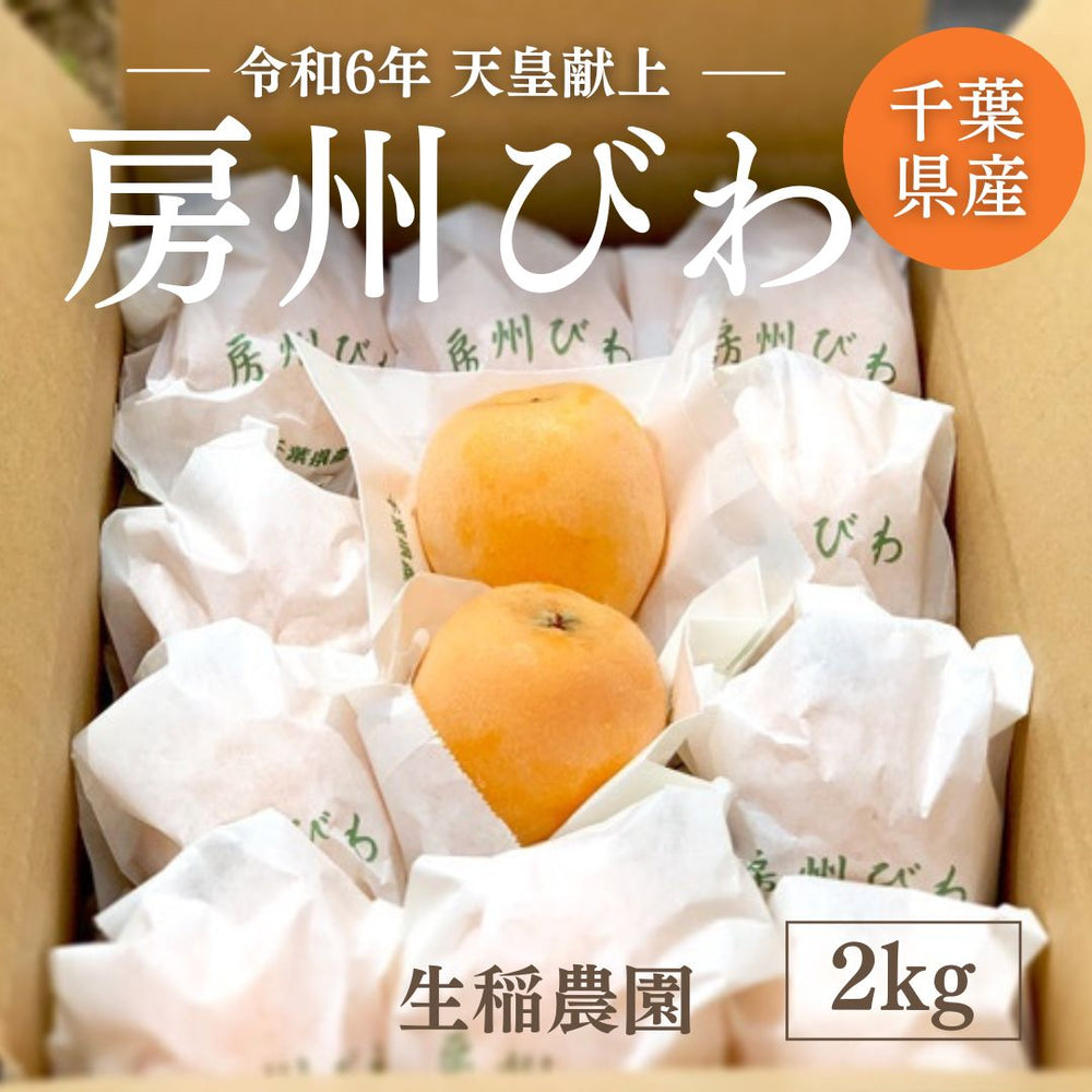 完熟枇杷　2kg びわ 【生稲農園】 房州びわ 2kg 24～30個 サイズ色々 枇杷 皇室献上の