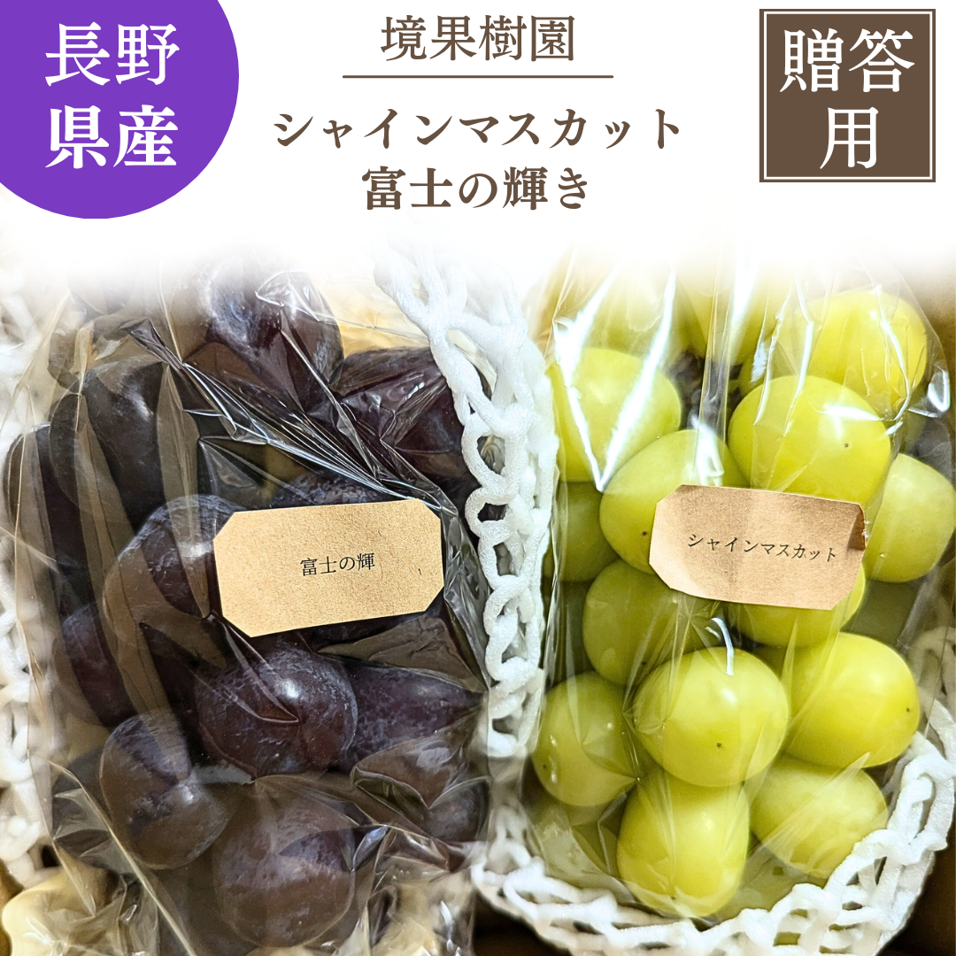 ぶどう 【境果樹園】 富士の輝き シャインマスカット 1~2房ずつ 約1kg