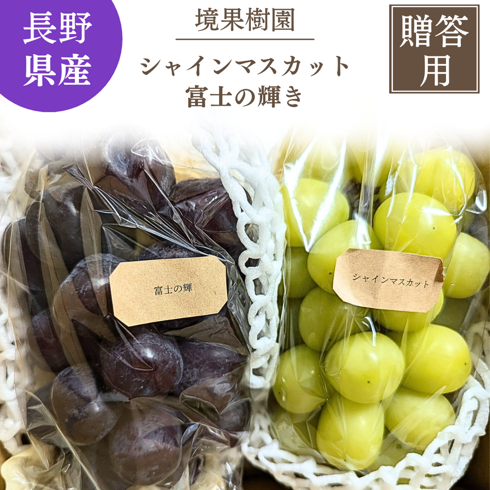 ぶどう 【境果樹園】 富士の輝き シャインマスカット 1~2房ずつ 約1kg