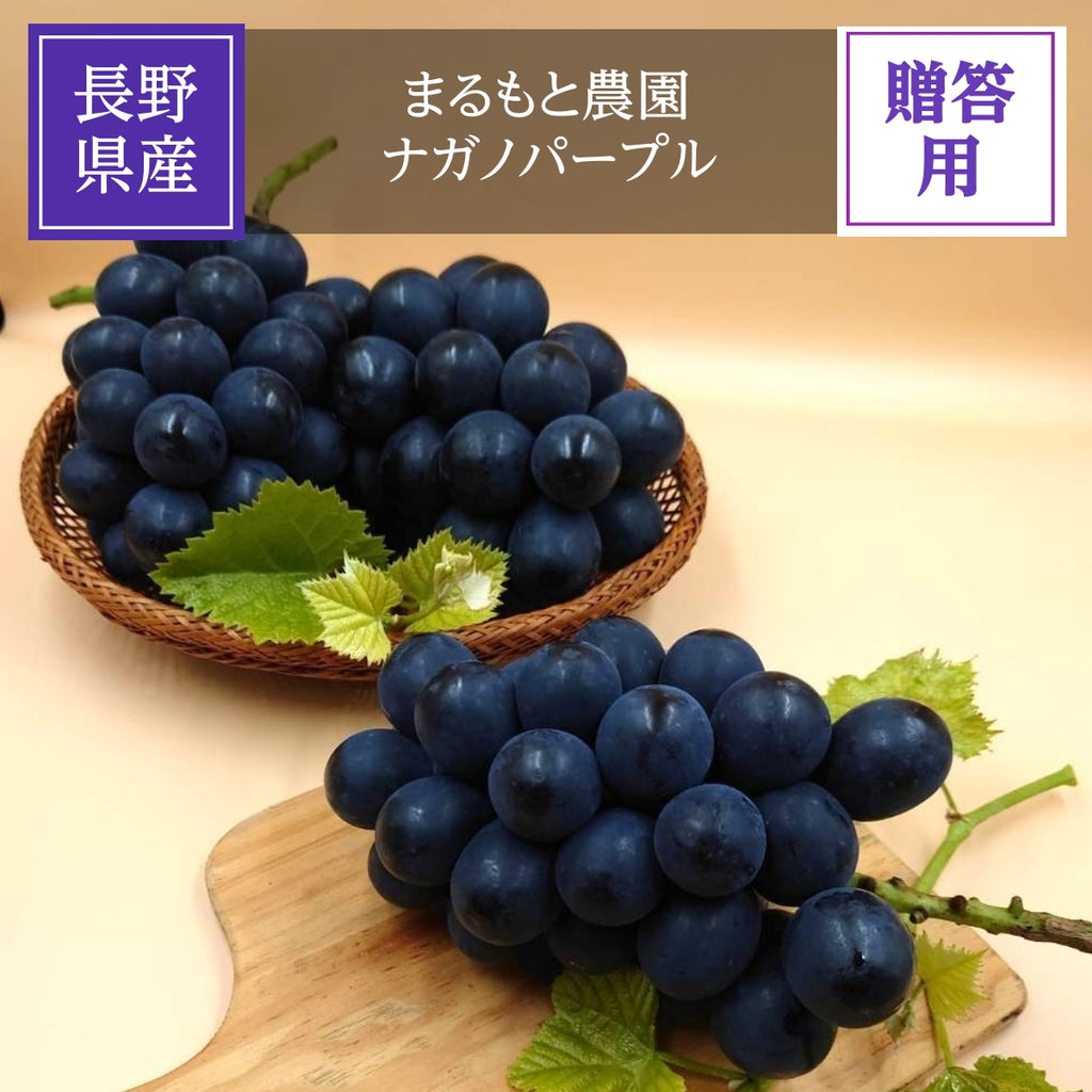 maさんナガノパープル10000円分 ぶどう 【まるもと農園】 ナガノパープル 1.3kg 2房 長野県松川