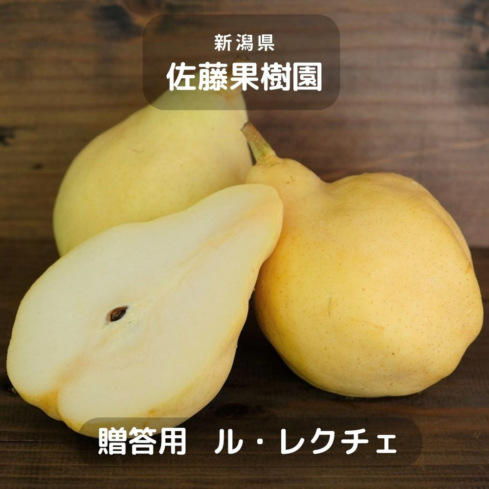 洋梨 【佐藤果樹園】 洋なし ル・レクチェ 2kg 5～6玉 贈答用 新潟県