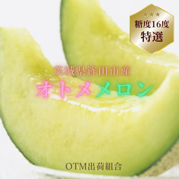 メロン 【OTM出荷組合】 オトメメロン 特選 1玉 3L 糖度センサー 16度以上 贈答用 母の日 茨城県鉾田市 茨城町 《4/下旬～5/上旬より出荷》