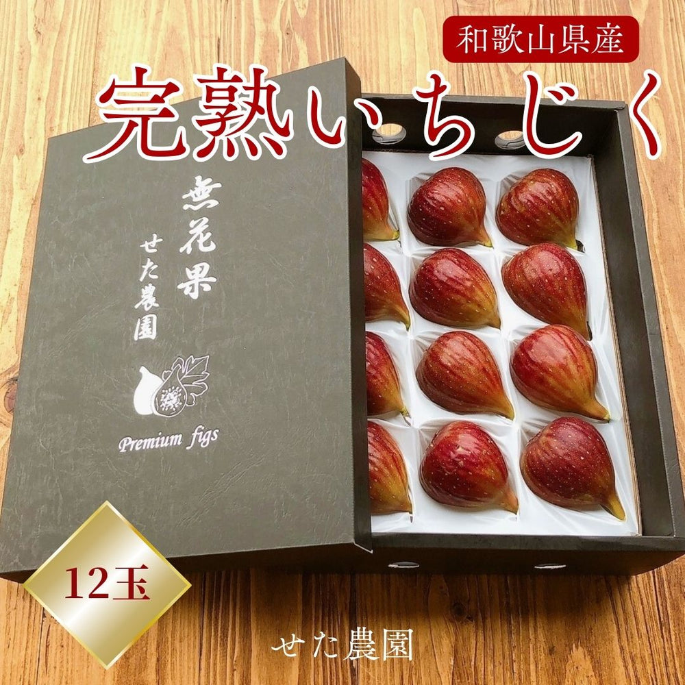 いちじく 【せた農園】 完熟 贈答用 L 12玉 1㎏ 和歌山県産 《8/中旬