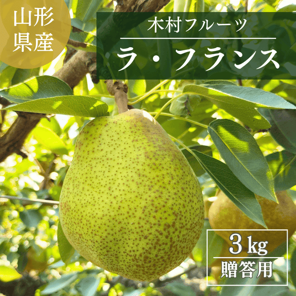 洋梨 【木村フルーツ】 洋なし ラ・フランス 約3kg ２L～5L 7～11玉 山形県上山市 ラフランス《11/中旬～11/下旬より出荷》