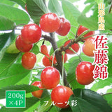 さくらんぼ 【フルーツ彩】 佐藤錦 200g×4P 800g ML 山形県上山市  《6/中旬～6/下旬の出荷》
