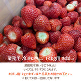 業務用 冷凍いちご お試し用 1ｋg 国産 栃木県産 イチゴ