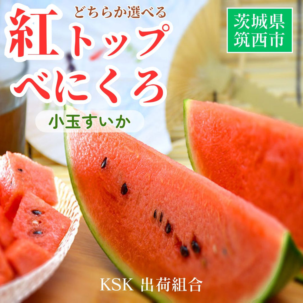 638.数量限定希少黄肉小玉西瓜スイカ6玉入り箱込み9.5Kg前後 639.数量限定希少黄肉小玉西瓜スイカ6玉入り箱込み9.5Kg前後