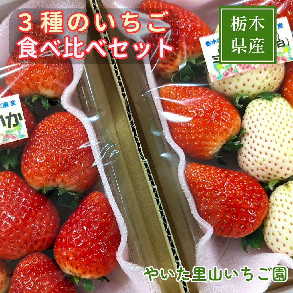 いちご 【やいた里山いちご園】苺 紅白 とちあいか ミルキーベリー