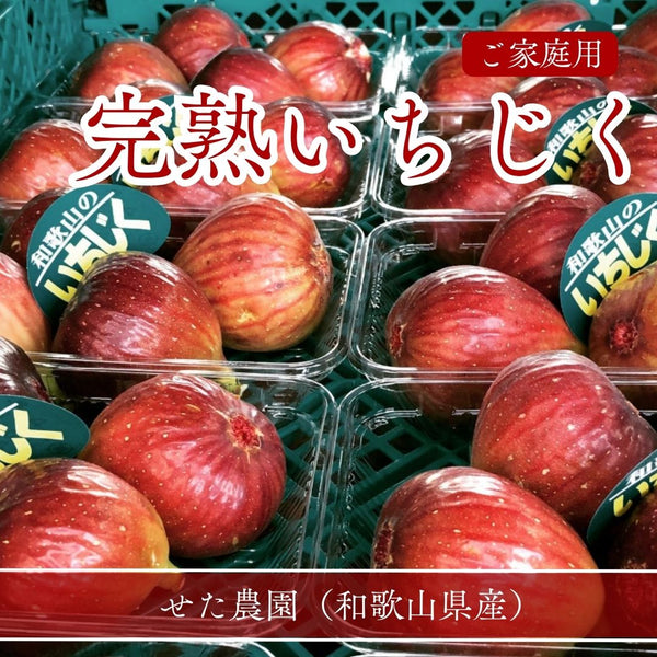 いちじく 【せた農園】 家庭用 350g×4P 1.4㎏ 和歌山県産 《8/中旬～8/下旬より出荷開始》 北海道・沖縄県は配送未対応