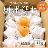 びわ 【生稲農園】 房州びわ 1kg サイズ色々 枇杷 皇室献上の実績 父の日 千葉県南房総市《5/中旬～5/下旬より出荷》